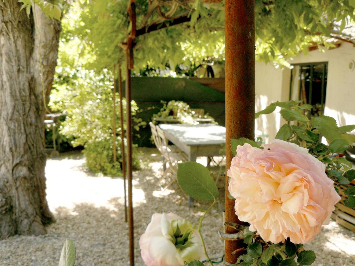 Maison Piloni LʼIsle-sur-la-Sorgue Buitenkant foto