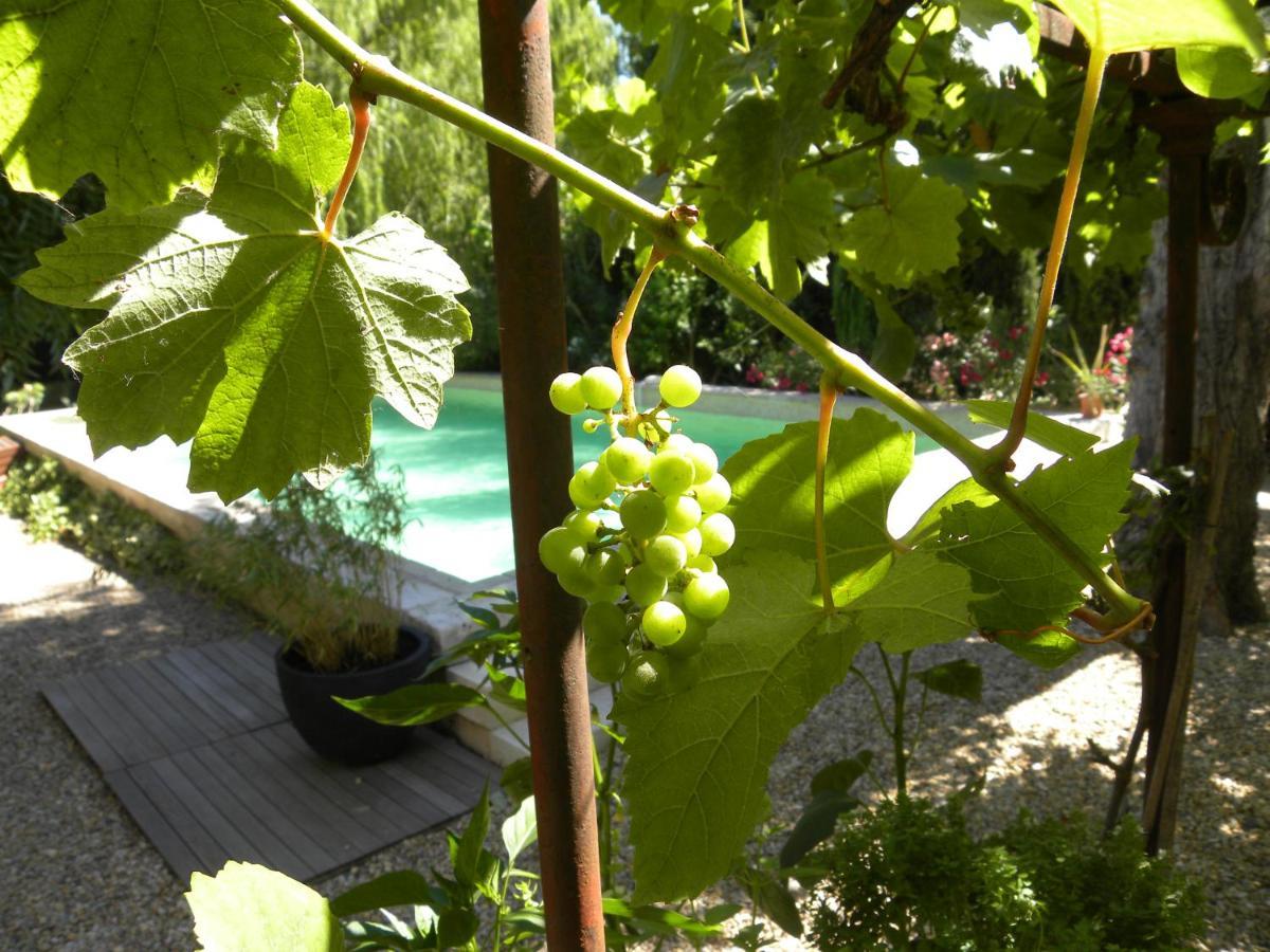 Maison Piloni LʼIsle-sur-la-Sorgue Buitenkant foto